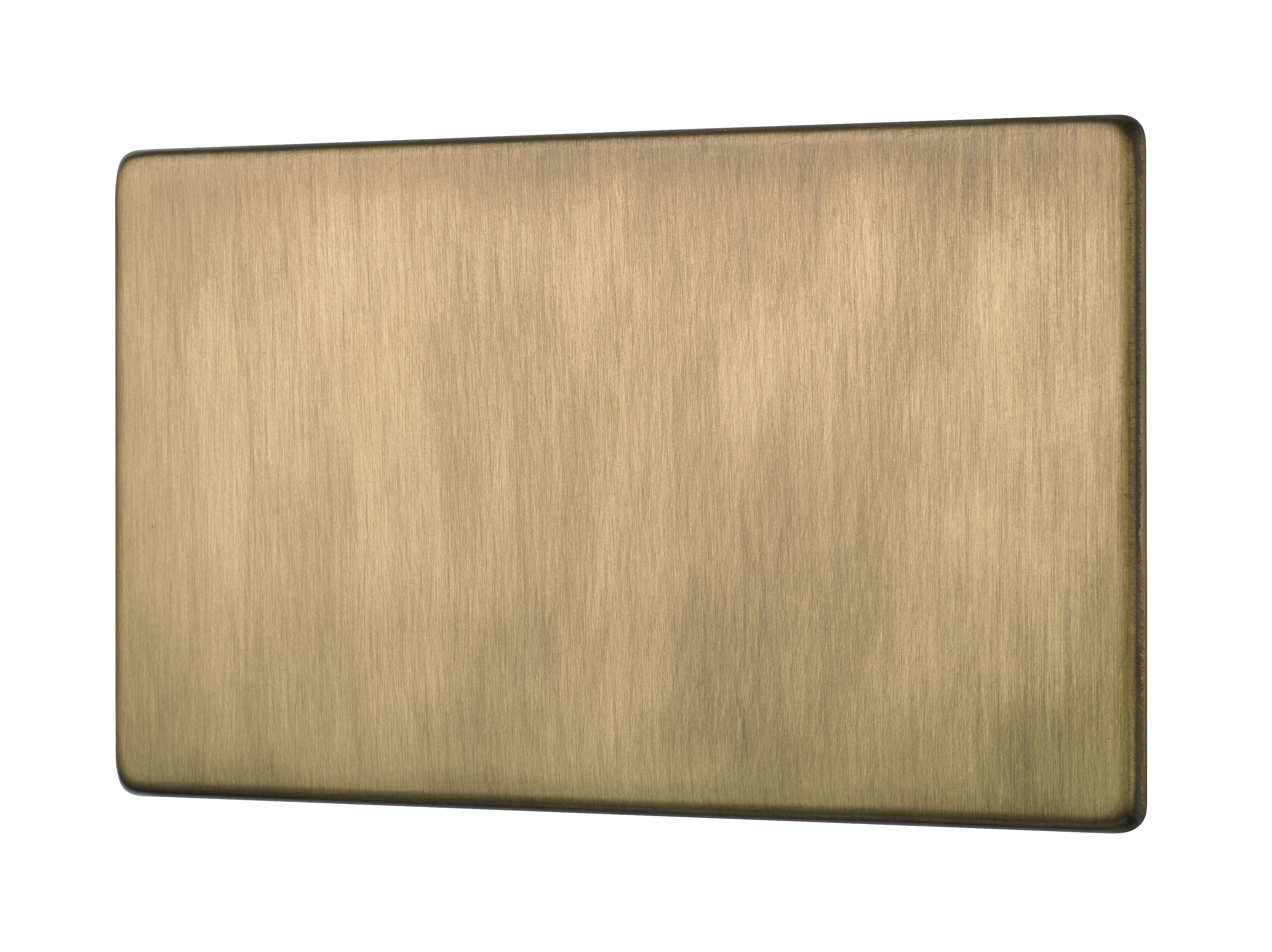 Penthouse double blank plate in Burnished Brass